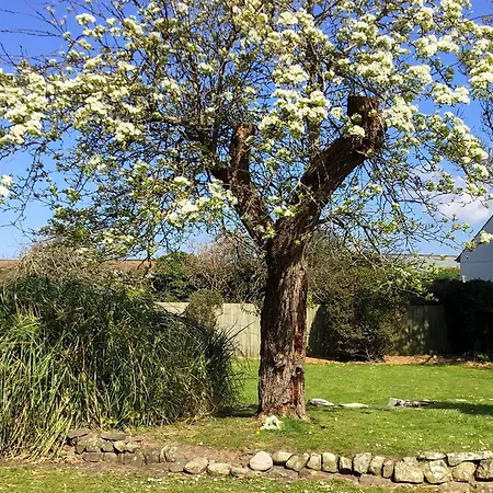 Holiday home Tremaer